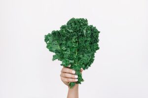 Hand Holding Fresh Kale Leaves