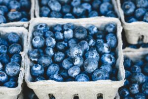health benefits of blueberries