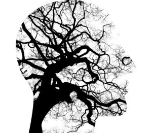 Brain Exercises after 40
